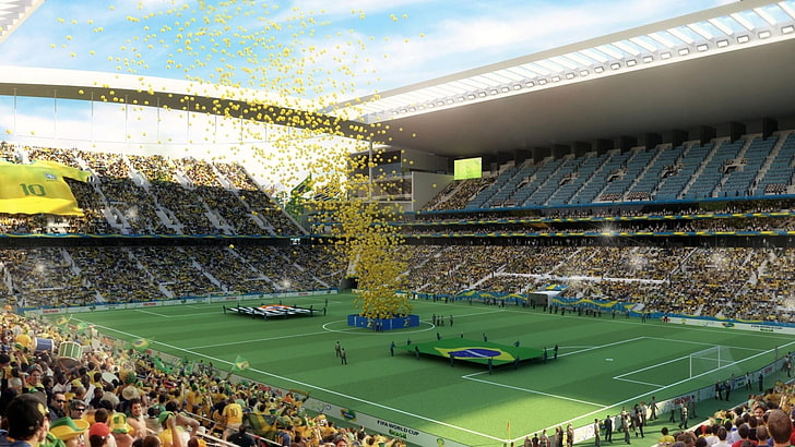 football stadium, sao paulo, brazil, 2014, brazilian national team