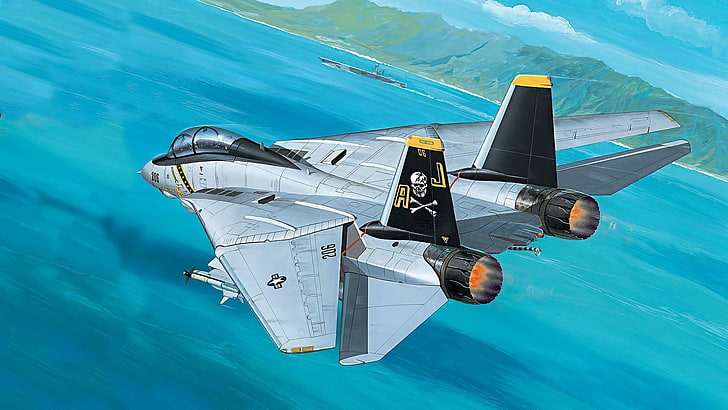 white and black helicopter toy, painting, aircraft, Grumman F-14 Tomcat
