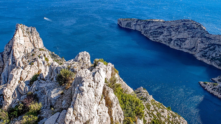 green leafed tree, marseille, france, cliff, sea, nature, europe