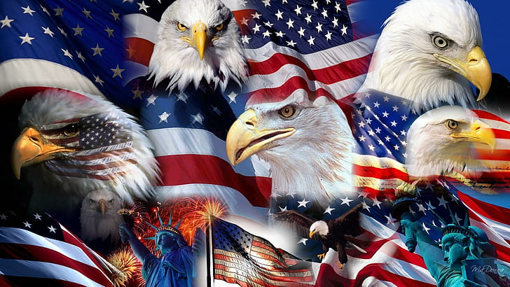 Patriotic Usa, firefox persona, eagle, independence day, united states of america, HD wallpaper