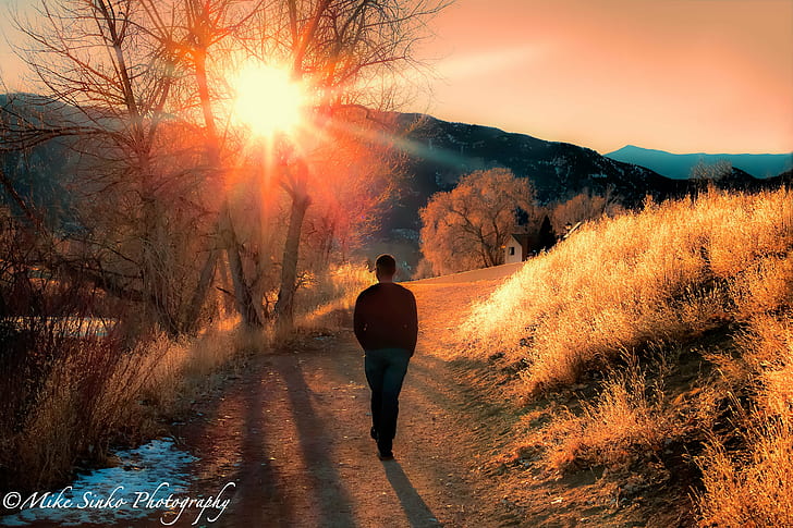 walking man between grass field photo, Serenity, Landscape, landscapes, HD wallpaper