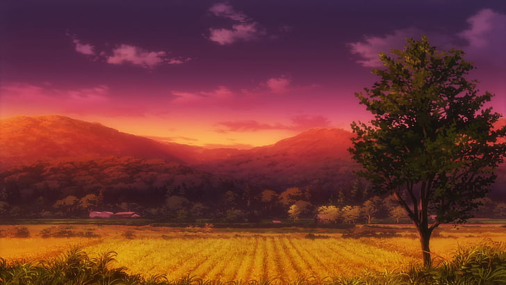 Non Non Biyori, field, sunset, plant, scenics - nature, tree, HD wallpaper