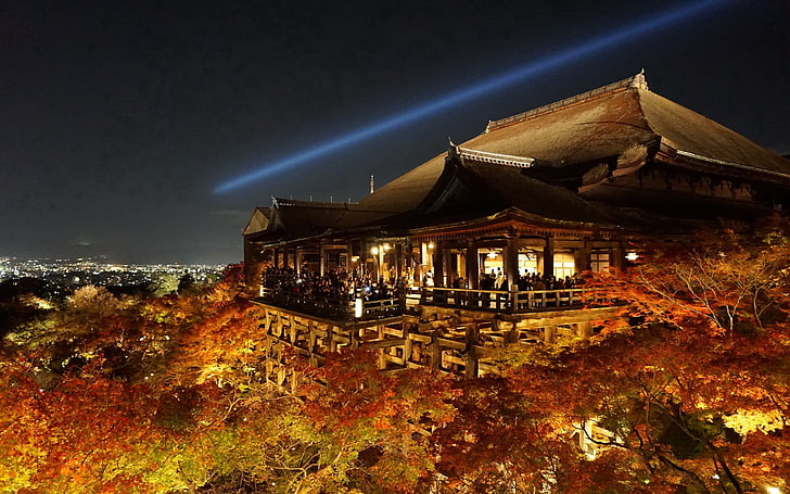 Kyoto, temple, night, trees, Kiyomizu Dera, illuminated, architecture, HD wallpaper