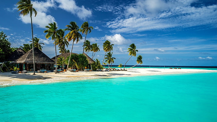 vacation, indian ocean, daytime, palms, holiday, maldives, halaveli, HD wallpaper
