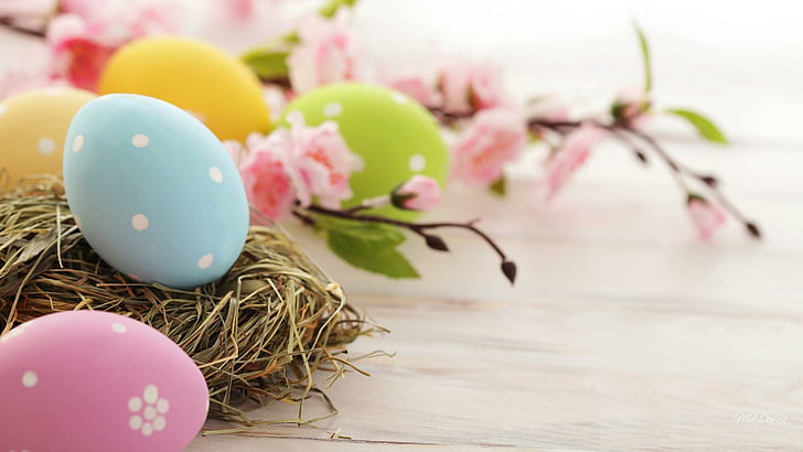 Easter Egg Nest, blue pink yellow and gold eggs, sakura, cherry blossoms, HD wallpaper