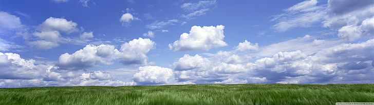 green grass, multiple display, sky, clouds, cloud - sky, environment, HD wallpaper
