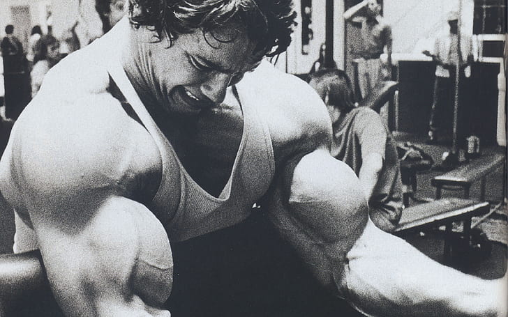 Bodybuilder Arnold Schwarzenegger, HD wallpaper