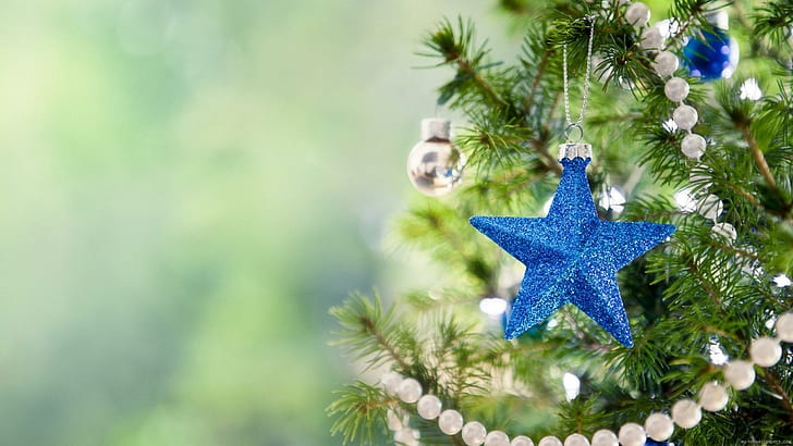 Christmas tree with a blu star, blue star christmas ornament, HD wallpaper