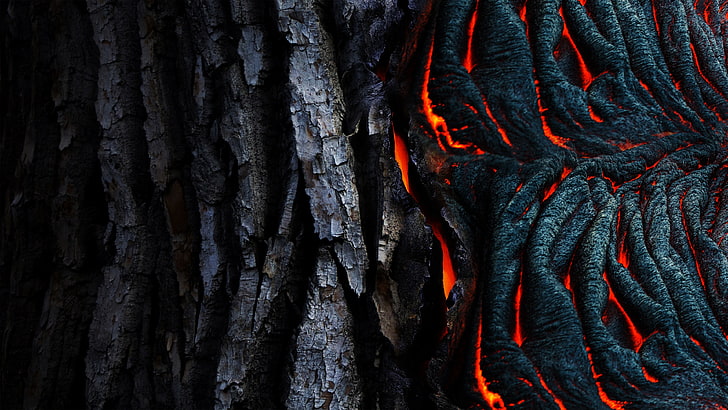 black tree bark, abstract, lava, texture, nature, forest, fire - Natural Phenomenon, HD wallpaper