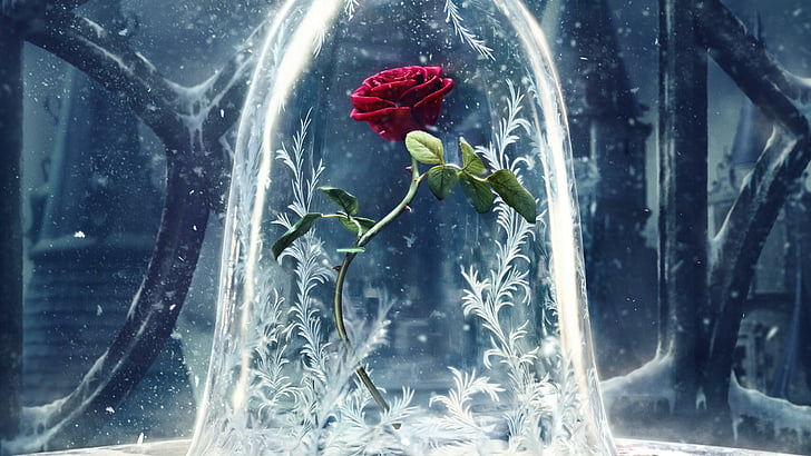 fantasy, flower, rose, red rose, winter, frost, cold, freeze