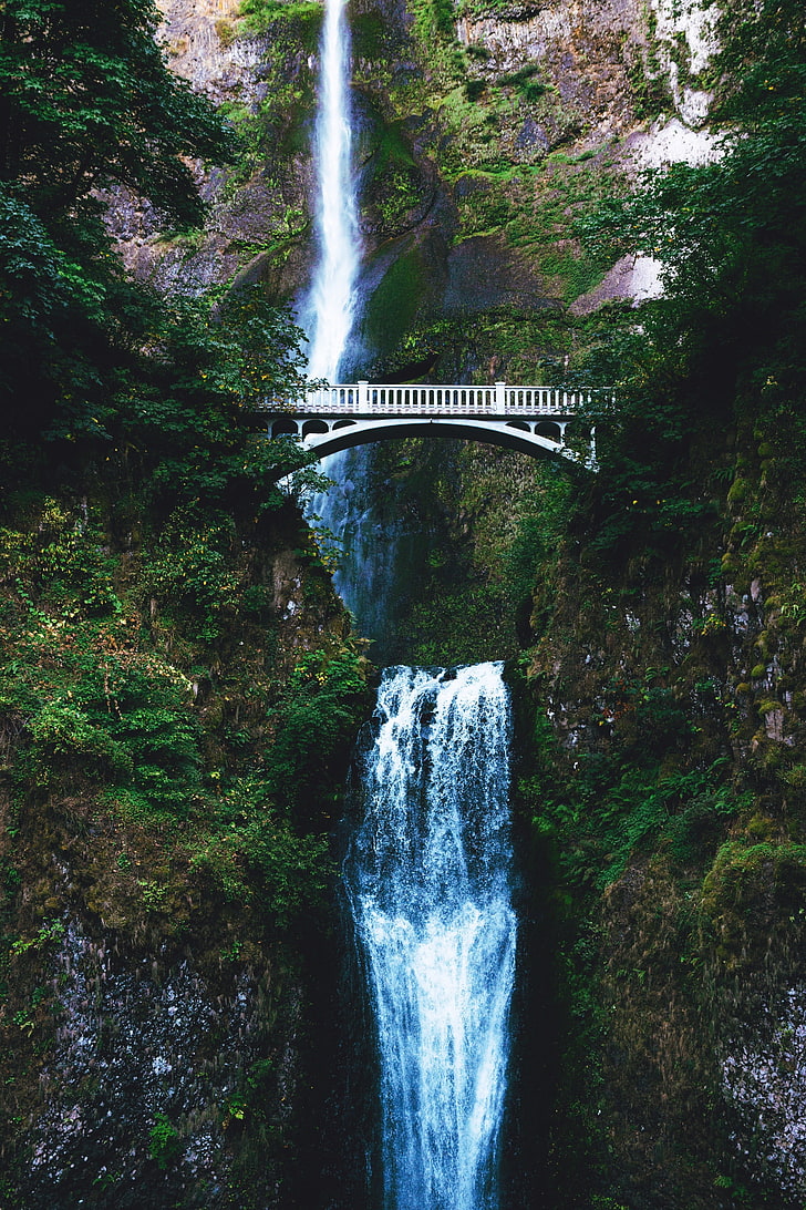 white wooden bridge, nature, water, trees, waterfall, flowing water, HD wallpaper