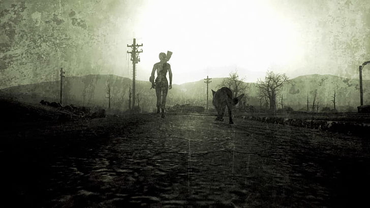 silhouette of person and wolf painting, Fallout, Fallout 3, artwork, HD wallpaper