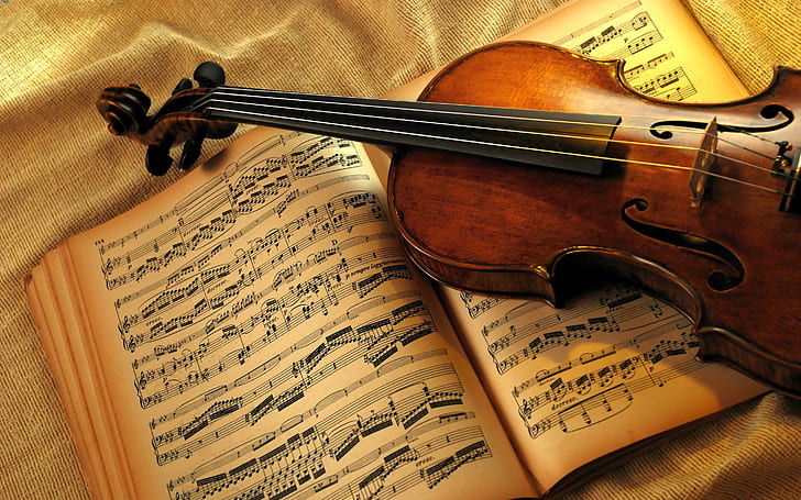 Violin classic music, brown violin, HD wallpaper