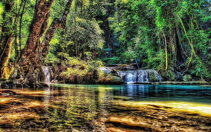 Marvelous River Falls In A Forest Hdr Hd Wallpaper 506794, HD wallpaper