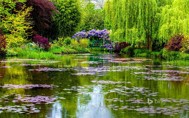 green leafed trees, bridge, France, spring, pond, Normandy, Giverny, HD wallpaper