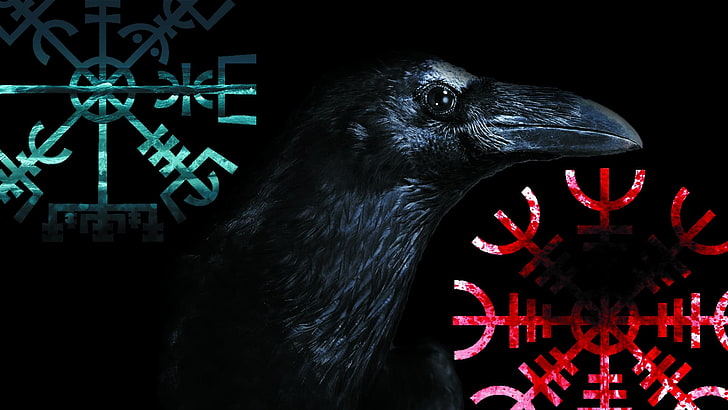 HD wallpaper: black crow, Vegvísir, Aegishjalmur, Vikings, one ...