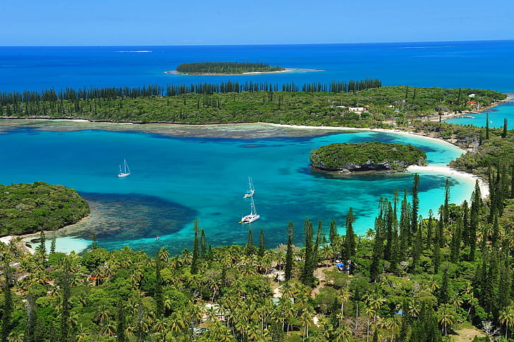 New Caledonia South Pacific, pine, tropical, islands, lagoon, HD wallpaper