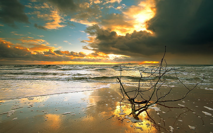 sunset, sunlight, landscape, nature, sea, beach, sand, sky, HD wallpaper