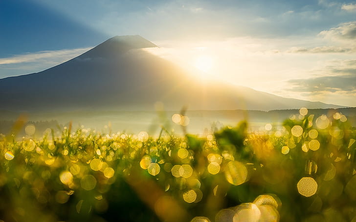 Mountain, sun rays, sunrise, grass, dew, flare, bokeh, HD wallpaper