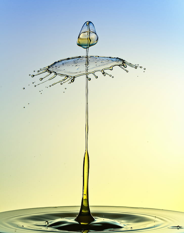 macro shot photography of water drp, Yellow, Water Drop, Drops, HD wallpaper