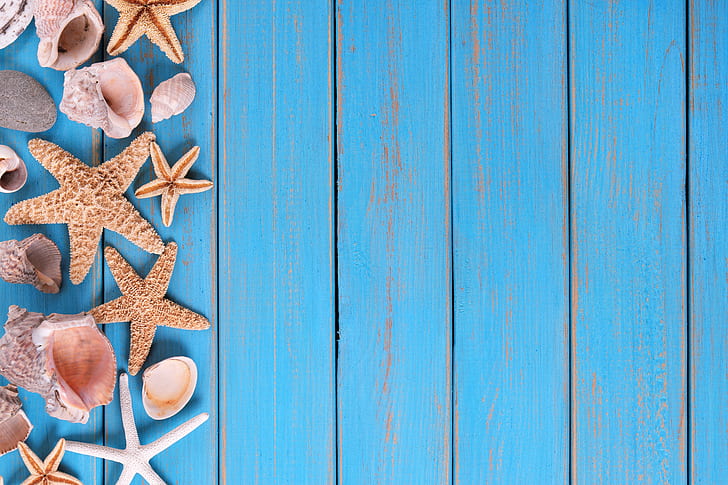 Photo Backgrounds Blue Wooden Wall Panel Degraded Sea Star Shell Summer Party Photo Baby Photo Background for Photo Session-8x6ft