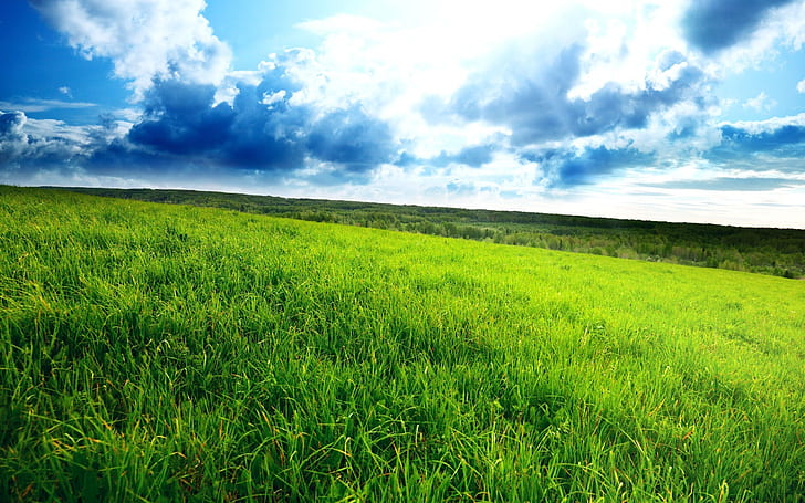 Superb Green Field, spring, landscape, view, nature, HD wallpaper