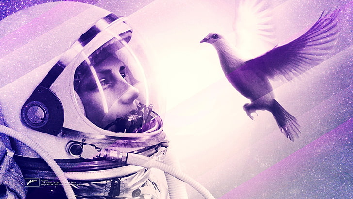 white pigeon and astronaut illustration, Axwell, Eternal Sunshine of the Spotless Mind