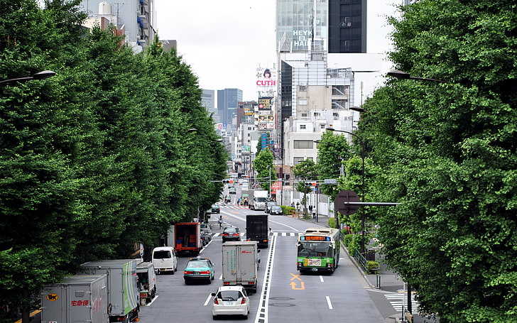 green leafed trees, Japan, traffic, Asia, city, car, buses, street
