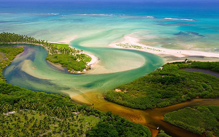 green forest, river, jungle, Brazil, aerial view, estuaries, beach, HD wallpaper