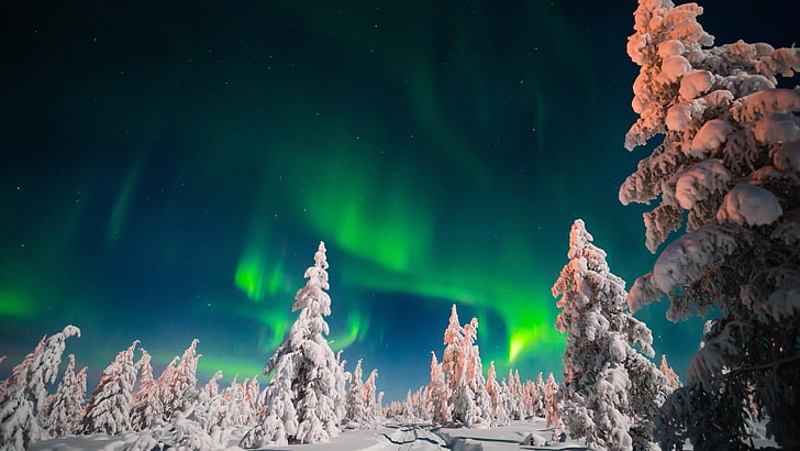 freezing, yakutia, sakha, night, night sky, nature, russia, HD wallpaper