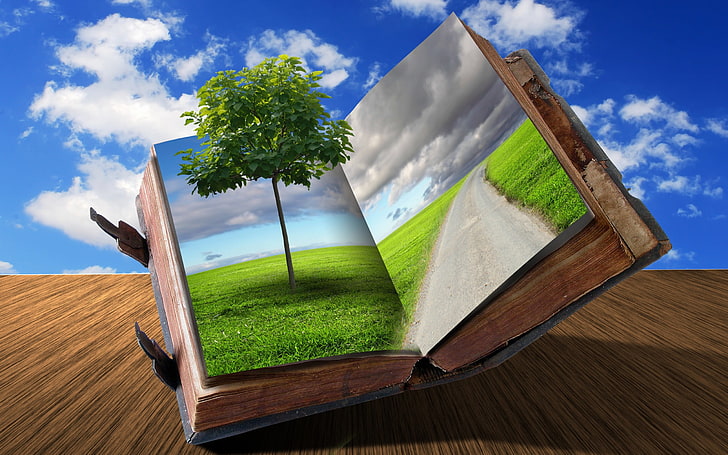 Creative Book, green tree in book, Art And Creative, nature, road, HD wallpaper