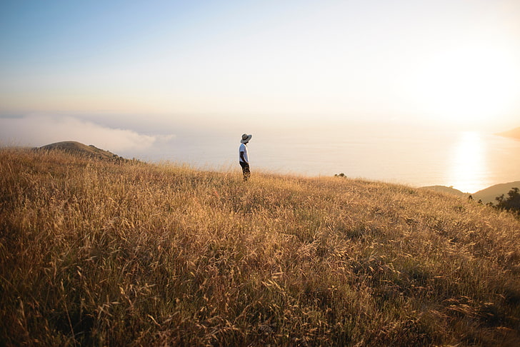 field, loneliness, solitude, grass, big sur, one person, sky