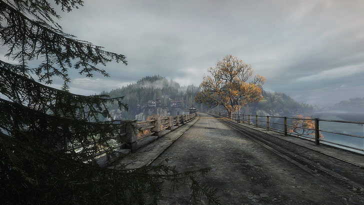 brown concrete bridge, The Vanishing of Ethan Carter, video games