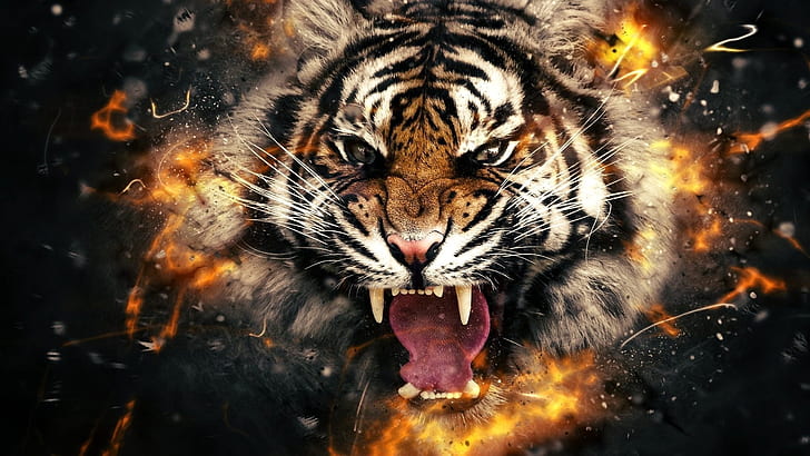 tiger, mammal, big cat, wildlife, roar, fantasy, digital art