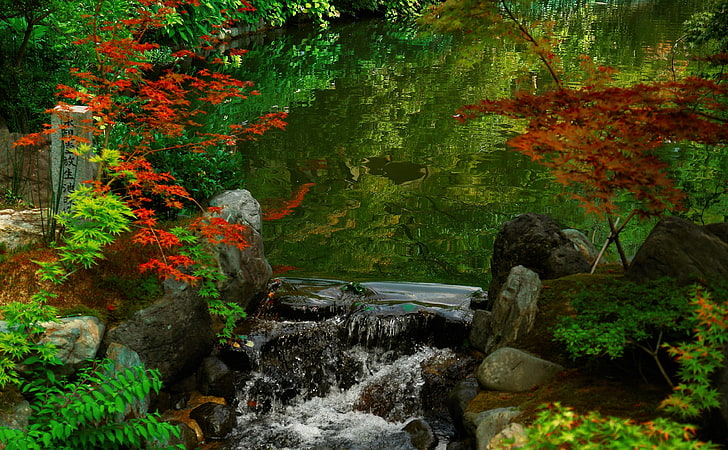 Kyoto Garden, Japan, forest and stream, Asia, nice, nature, water, HD wallpaper