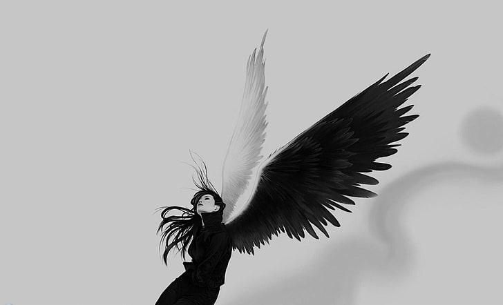 angel, black, white, wings, bird, feather, animal, animal themes, HD wallpaper