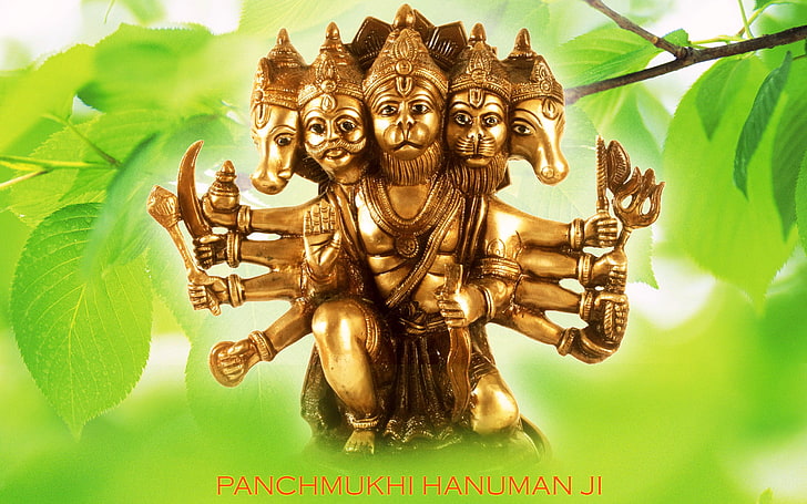 HD wallpaper: Panchmukhi Hanuman, Hindu Deity figurine, God, Lord Hanuman,  belief | Wallpaper Flare