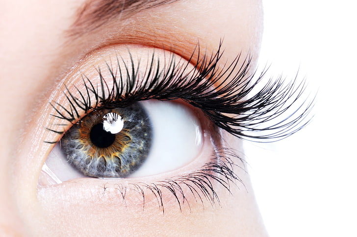 person's eyelashes, woman, pupil, human Eye, eyeball, eyesight, HD wallpaper