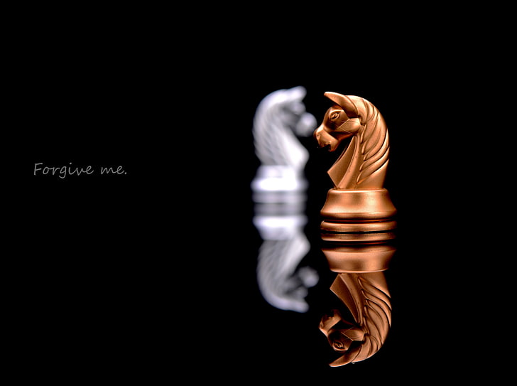 Forgive Me, brown and white horse chess pieces with text overlay