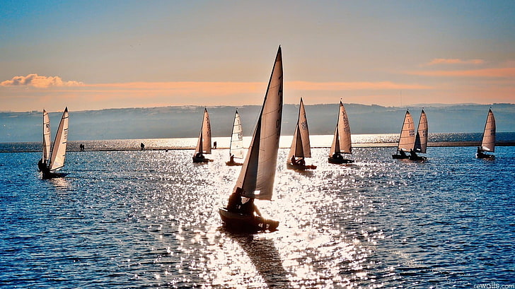 sailboats, sunset, sunlight, landscape, nature, sea, sailing ship, HD wallpaper