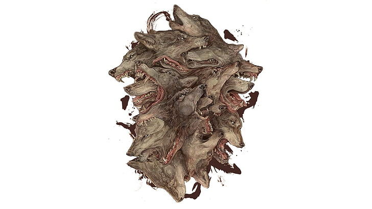 gray wolves' head illustration, drawing, wolf, studio shot, white background