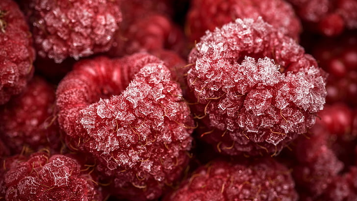 natural foods, berry, raspberry, fruit, frozen, frost, frosted, HD wallpaper