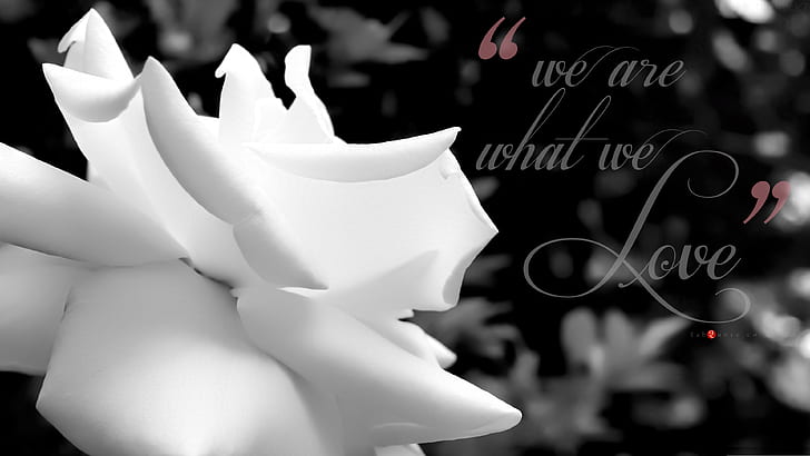 We Are What We Love, quotes