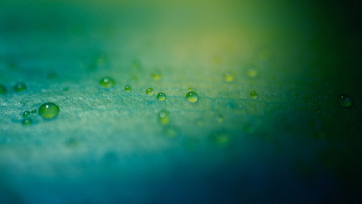 blue surface, green water droplets, macro, water drops, depth of field, HD wallpaper