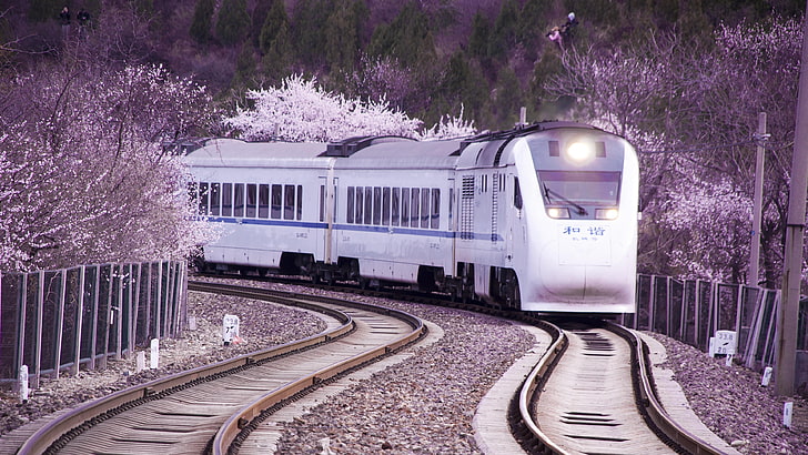 tree, japan rail pass, asia, tokyo, vehicle, rapid transit, HD wallpaper
