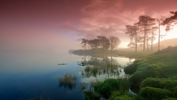scotland, europe, countryside, misty, foggy, sky, lake, trees, HD wallpaper