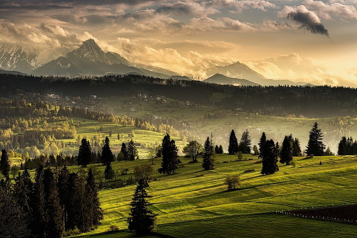 green grass field, nature, landscape, Tatra Mountains, forest, HD wallpaper