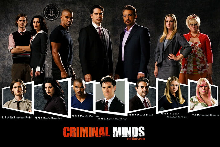 crime, criminal, drama, minds, mystery, procedural, HD wallpaper