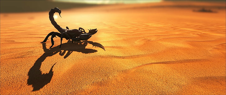 Video Game, ARK: Survival Evolved, Desert, Sand, Scorpion, shadow, HD wallpaper