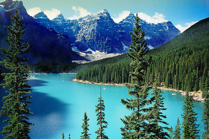 green pine trees in front of bodies of water and mountain, canada, moraine lake, canada, moraine lake